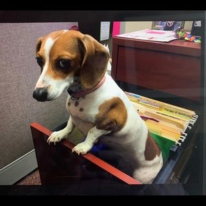 Meet your Posher, Erin